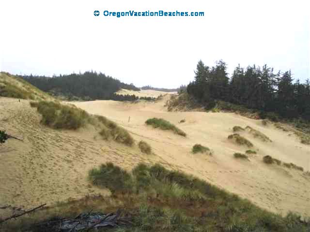 Sand Dunes south of Florence Oregon