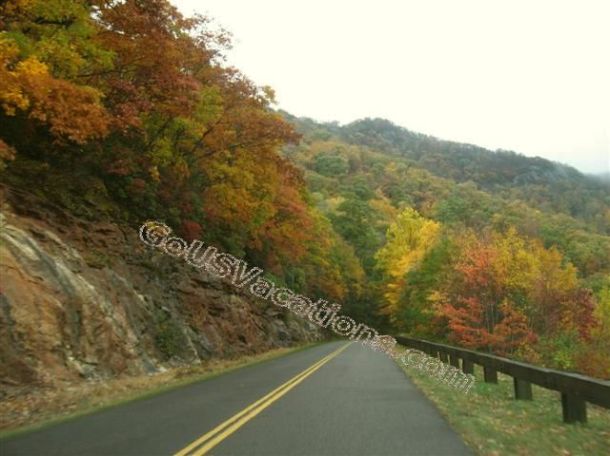 Blue Ridge Parkway Fall Colors - North Carolina