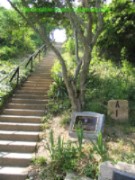 Steps up to Old Cape Henry Lighthouse - Virginia Beach area picture