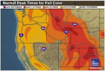 Projected Oregon Fall Foliage Map sample